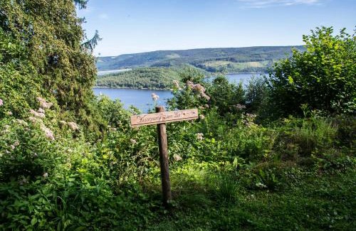 Nideggen House | Waldhaus Anne