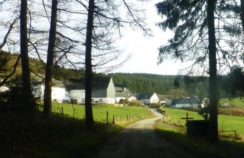 Kirchhundem Hotel | Waldhotel Einstein