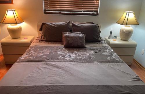 Collins Estates House | Walk to Indian Rocks Beach Exclusive Use of Hot Tub, Pool, BBQ,with Privacy