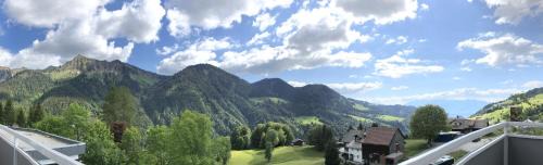 Innerlaterns Apartment | Walli Laterns - Ski und Bergvergnügen direkt vor der Haustür
