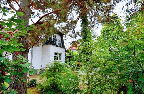 Wannsee Apartment | Wannsee I