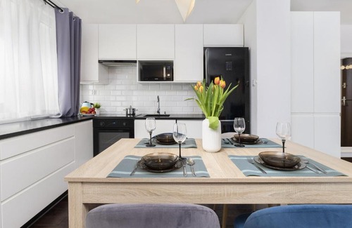 Srodmiescie Apartment | Warsaw Cosy&Sunny Apartment Górnośląska by Renters