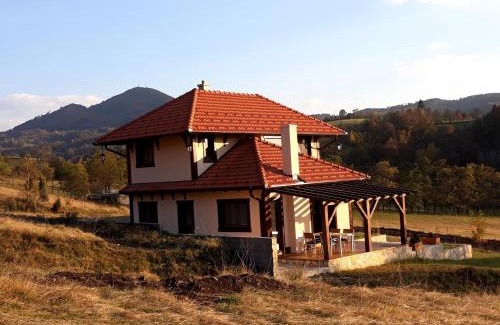 Central Serbia Villa | Wass House