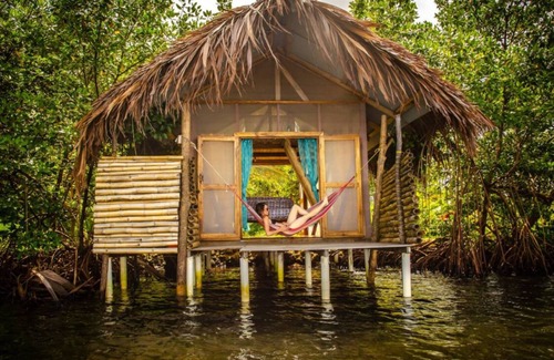 Tierra Oscura Cabin | Waterfront Dolphin Pod - Bocas' best snorkeling!