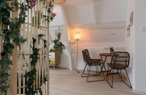 Canal Ring House | Way Up Studio