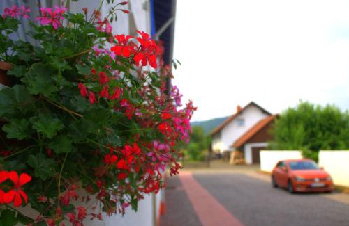 Munchweiler an der Rodalb Apartment | Wdwell