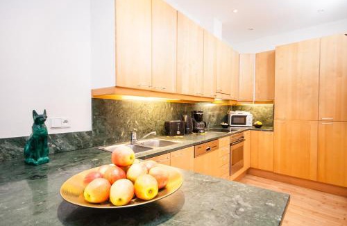 Nove Mesto Apartment | Wenceslas Square Lofts