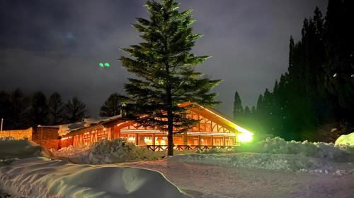 Kitaazumi-gun Hotel | WHITE HOTEL GRAND HAKUBA