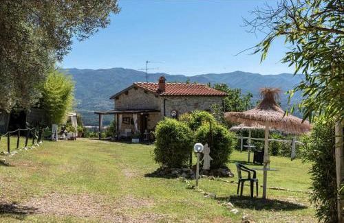 Rignano sull'Arno Apartment | Wine Experience - Villa Aurora