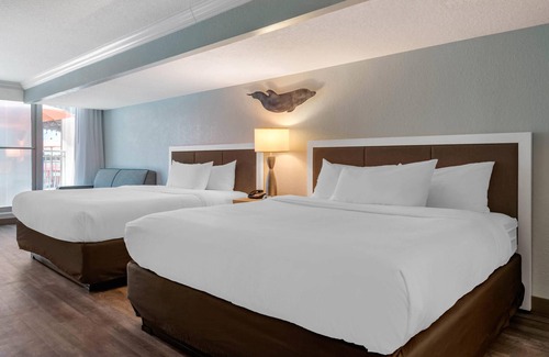 Clearwater Beach Hotel | Winter the Dolphin's Beach Club, an Ascend Collection Hotel