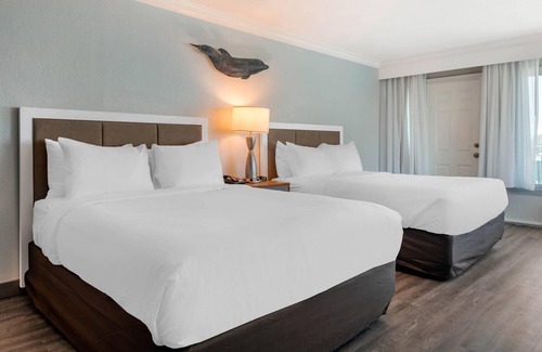 Clearwater Beach Hotel | Winter the Dolphin's Beach Club, an Ascend Collection Hotel