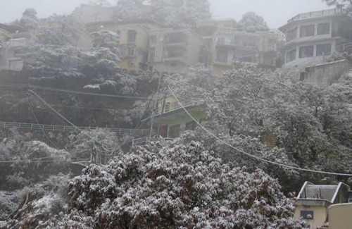 Mussoorie House | Wisteria home stay