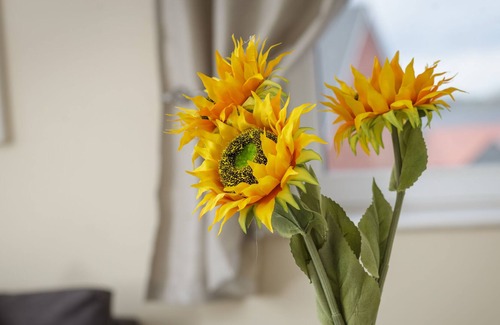 Wolverhampton Apartment | Wolverhampton City Stay II