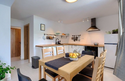 Cerovlje House | Wonderful private villa for 6 people with WIFI, private pool, A/C, TV and terrace