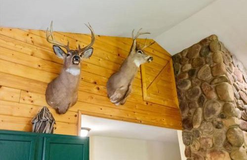 Mt Cobb Apartment | Woodland Cabin Getaway