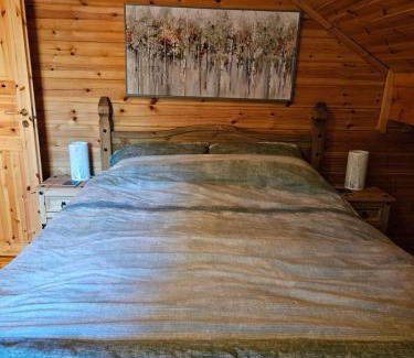 Ballyconnell Ski Chalet | Woodland Log Cabin