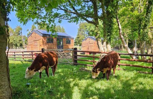 Brynrefail Cabin | Woodland Shepherds Hut - 'Saga'