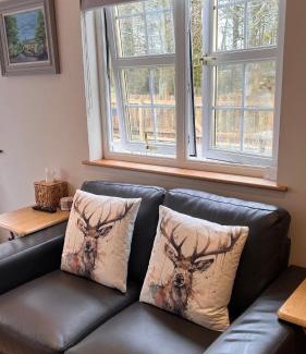Newton Stewart House | Wrens nest