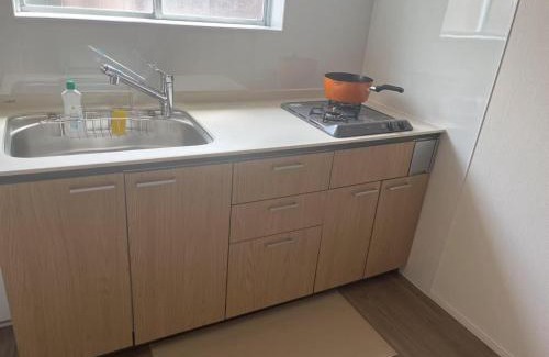 Shinkoiwa Apartment | WZNET新小岩301 成田空港都心便利商店街近い1LDK 43平 5Pax