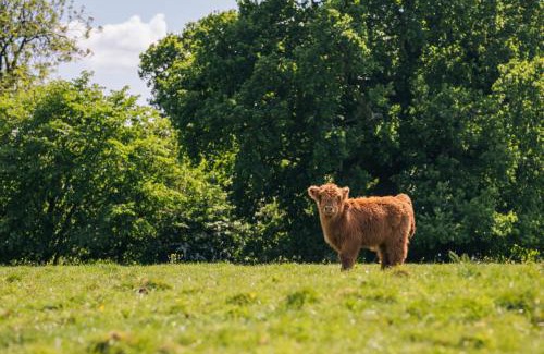 Congleton Bed & Breakfast | Yew Tree Farm