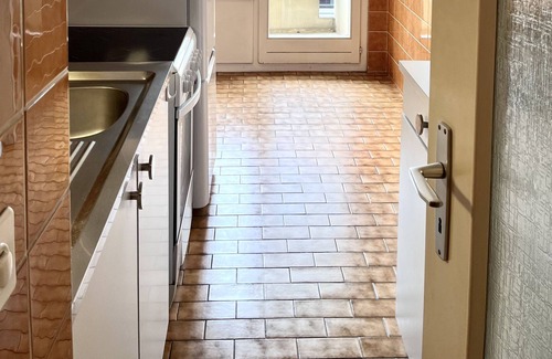 Downtown Geneva Apartment | Yooneet Train Station 1BR Cozy Apartment