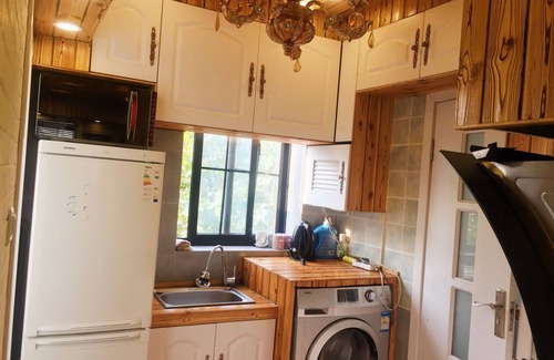 Downtown Shanghai Apartment | Youcun Apartment - Ru Shan