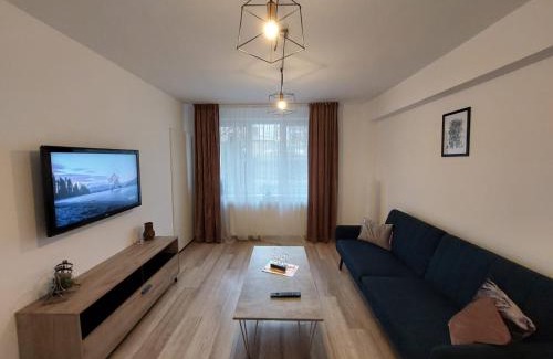 Tirgu Mures Apartment | Youth Central Apartment