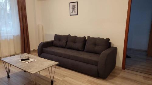 Tirgu Mures Apartment | Youth Central Apartment