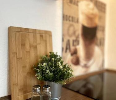 Frohnhausen Apartment | Zentral wohnen in ruhiger Lage! MA2R