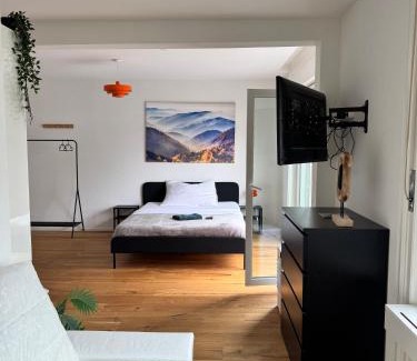 St. Gallen Apartment | Zentrales Apartment St Gallen an der Olma