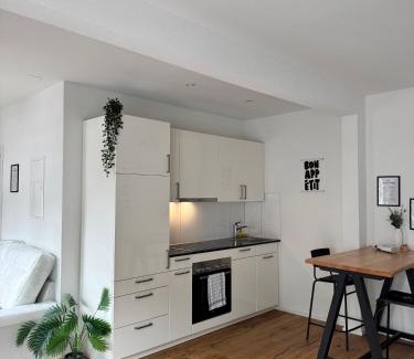 St. Gallen Apartment | Zentrales Apartment St Gallen an der Olma