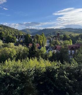 Szlachtowa Ski Chalet | Zielony Zakątek