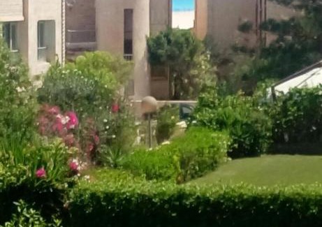 Borg el Arab Ski Chalet | Zomoroda Chaleh