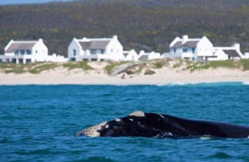 Struisbaai House | Zuidste Huisie Fisherman's Cottage