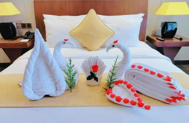 Đình Đình Saigon Airport Hotel-74A Giải Phóng