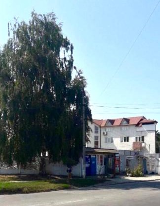 Квартира