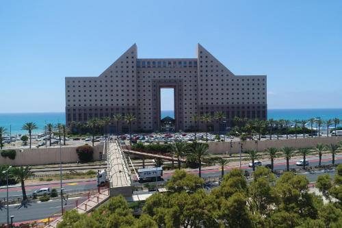 אלמוג חיפה