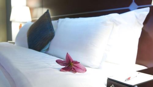 كازا فيزو للشقق المخدومة Casa Visio serviced Apartmenet