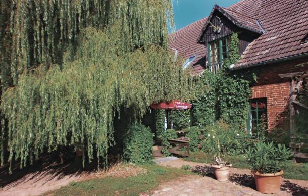 1 bedroom accommodation in Thulendorf/Sagerheide