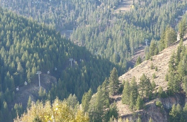 1 Story Baldy Views Elevator 5 Blks 2 Town Near River Run Lifts & Bike Path