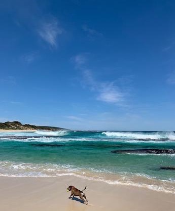 160 Steps From Yallingup Beach