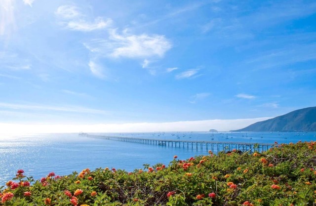 2-Unit Ocean Escape! Kitchen & Balcony | Outdoor Pool, Gym, Free Parking!