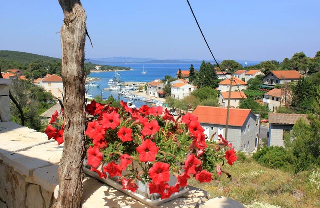 Terrace Sea Žman Dugi Otok 