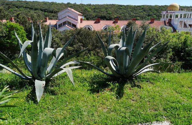 Duga Uvala 