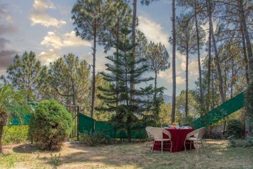 4BR cozy villa kasauli garden bone fire open terrace jhula by the north edge