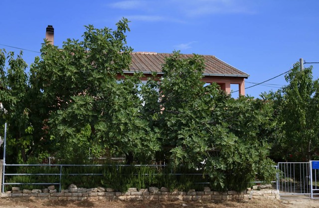 50 m² Apartment ∙ 1 bedroom ∙ 4 guests