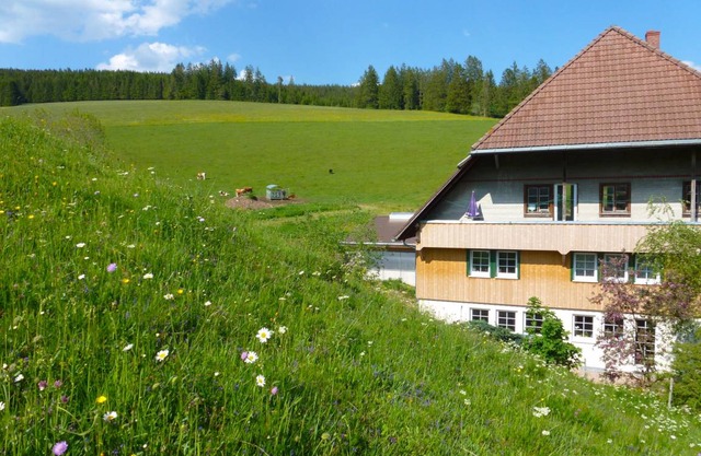 65 m² Apartment ∙ 1 bedroom ∙ 4 guests