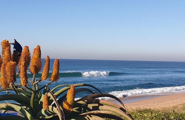 809 Umdloti Resort