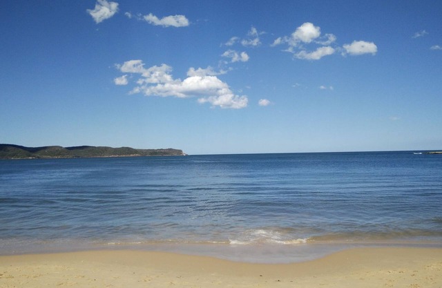 A perfect place for family and pets, just a short stroll to the beach.