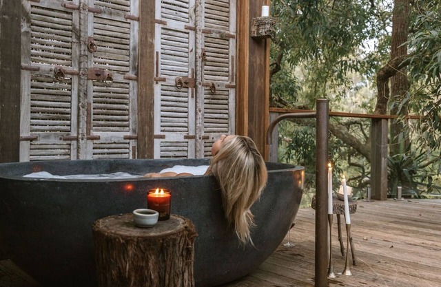 A unique Treehouse overlooking Kangaroo River.